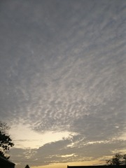 74B53036-001D-4127-BFB6-65844A5C8340/L0/001