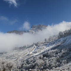 A736AA04-25C1-43F8-81F3-20E9B9619EE0/L0/001
