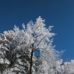 4C47D9F0-C230-4D76-98CD-036427047D32/L0/001
