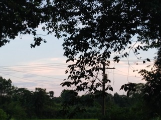 3415013