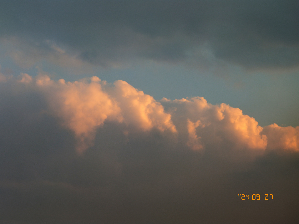 只今只道只金句,梅子熟时栀子香。