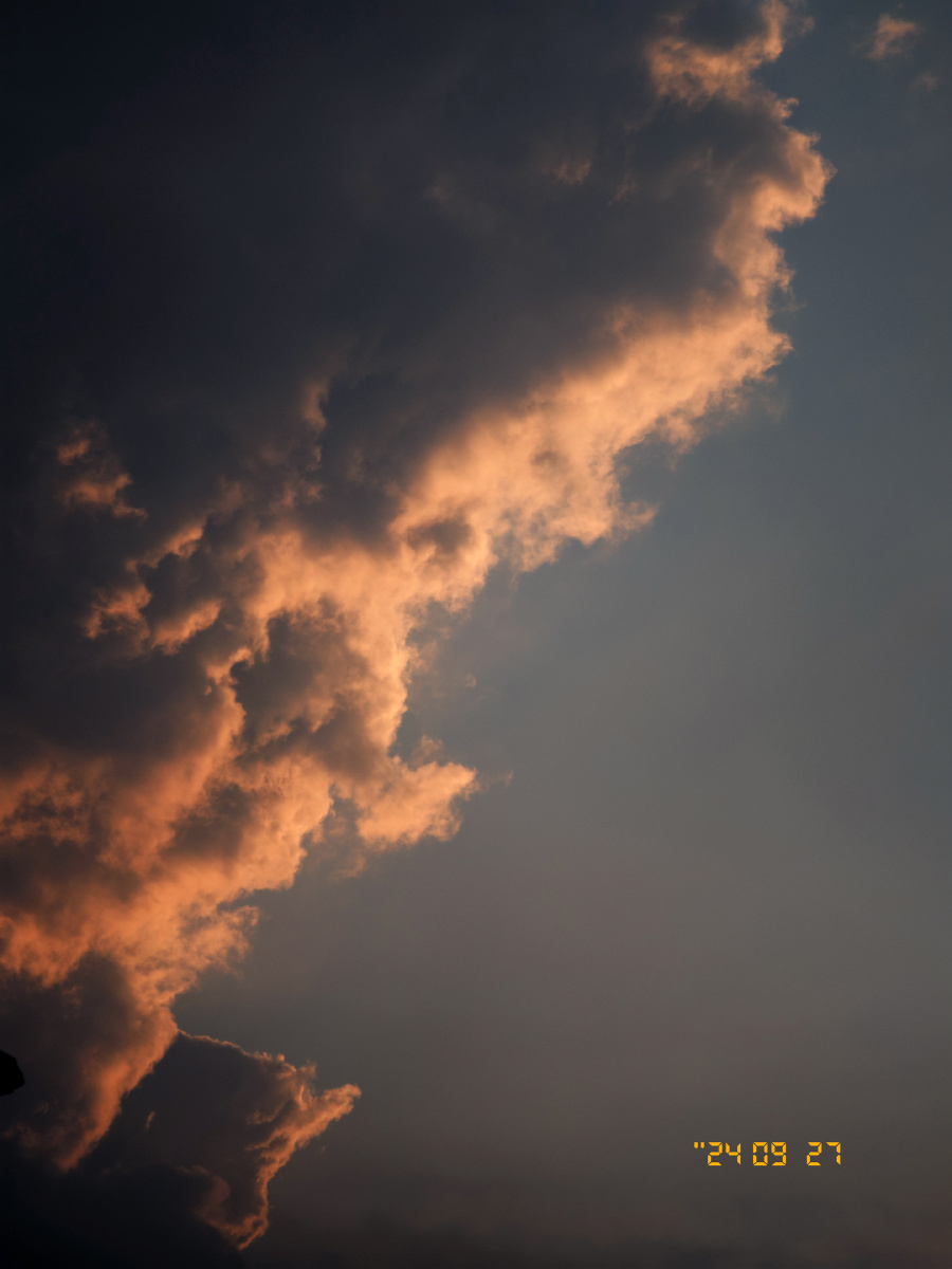 只今只道只金句,梅子熟时栀子香。