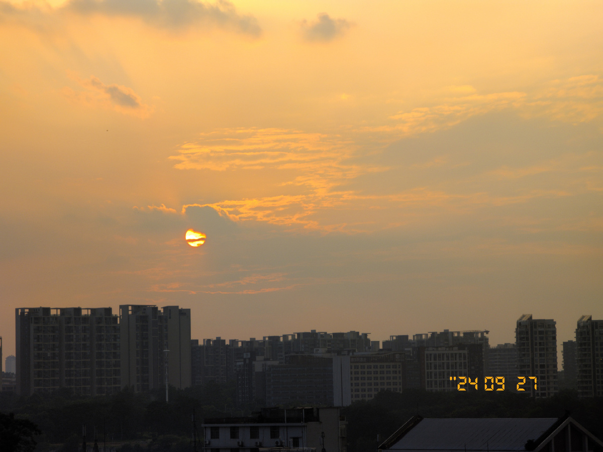 只今只道只金句,梅子熟时栀子香。