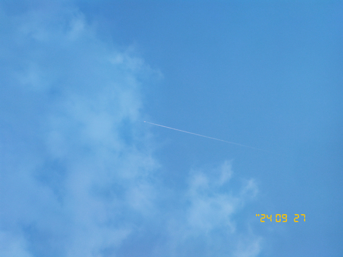 只今只道只金句,梅子熟时栀子香。