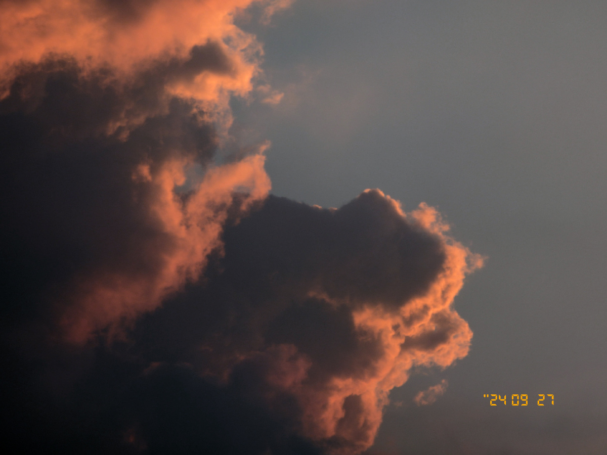 只今只道只金句,梅子熟时栀子香。