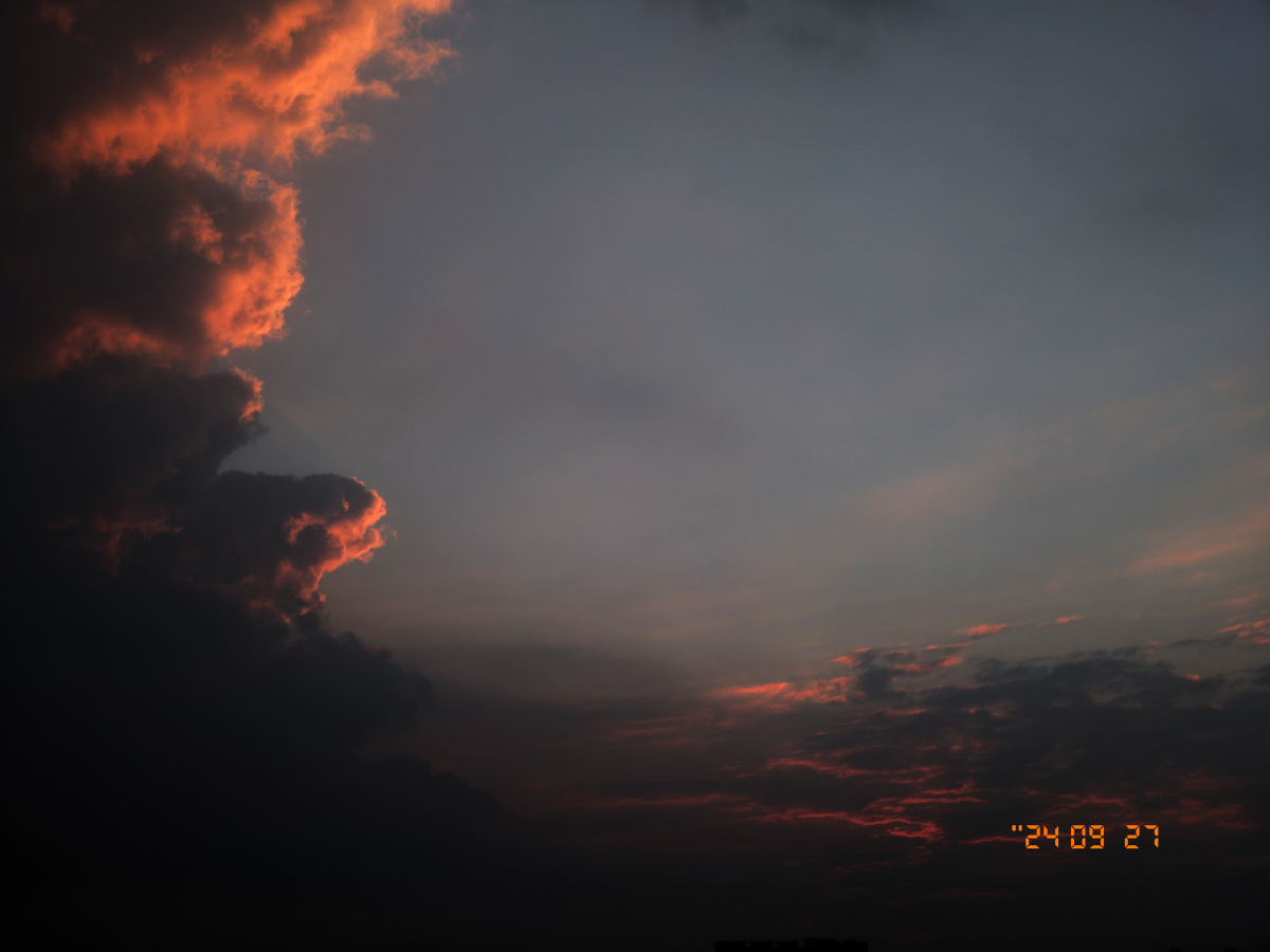 只今只道只金句,梅子熟时栀子香。