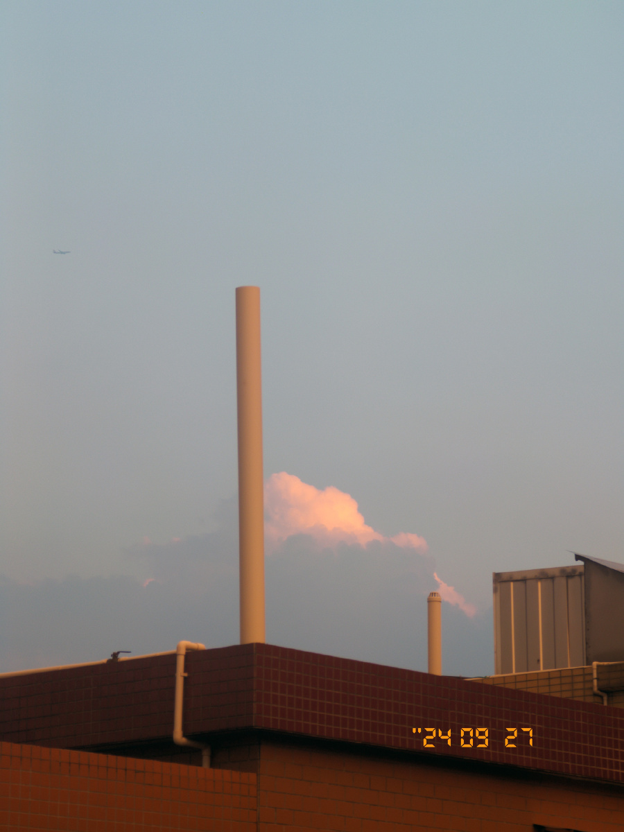 只今只道只金句,梅子熟时栀子香。