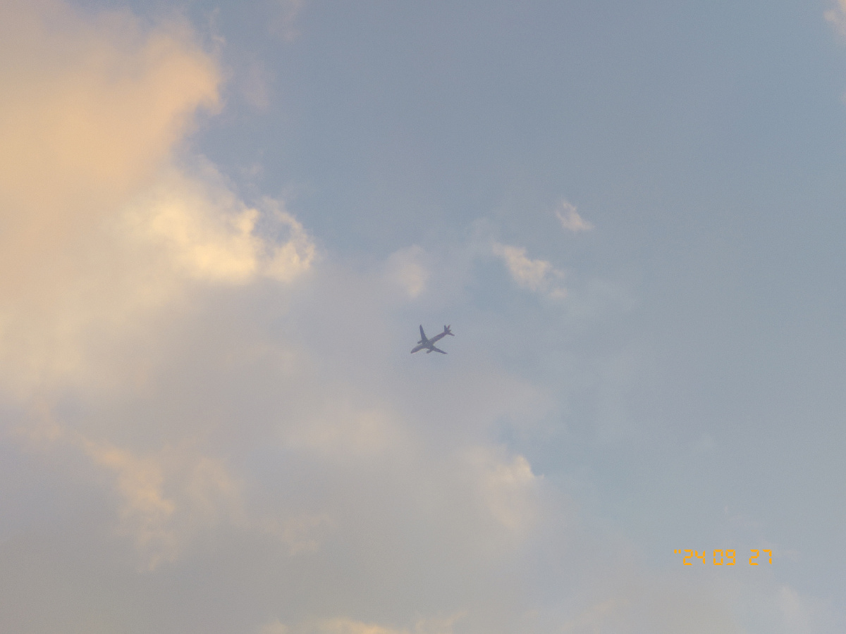 只今只道只金句,梅子熟时栀子香。