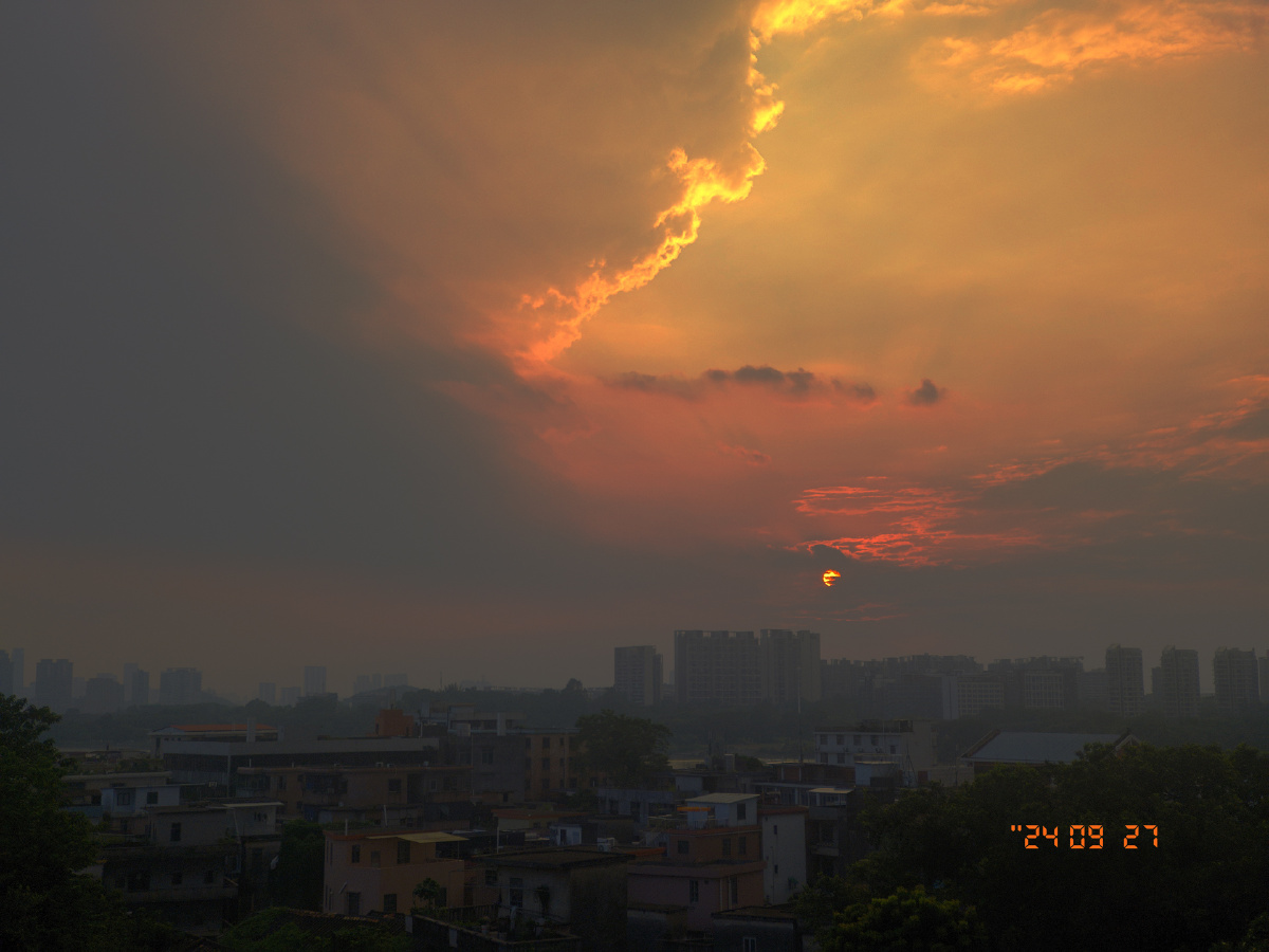 只今只道只金句,梅子熟时栀子香。