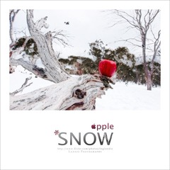 Snow Apple
