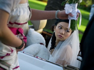 Ming & Karen's Wedding 44