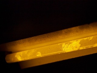 L6273209