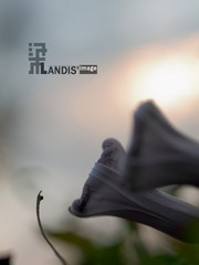_C020561