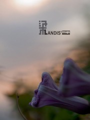 _C020560