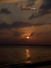 _B300259