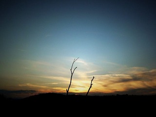 P1020211
