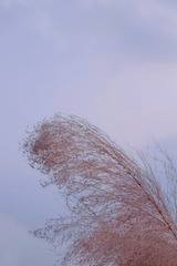 11324D8B-0087-4098-BB4D-40A6D3F2E353/L0/001
