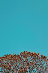 BEF4C497-8598-4D45-B3E7-3D480F5E3E6B/L0/001