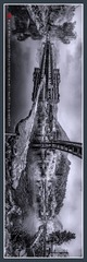 1220089