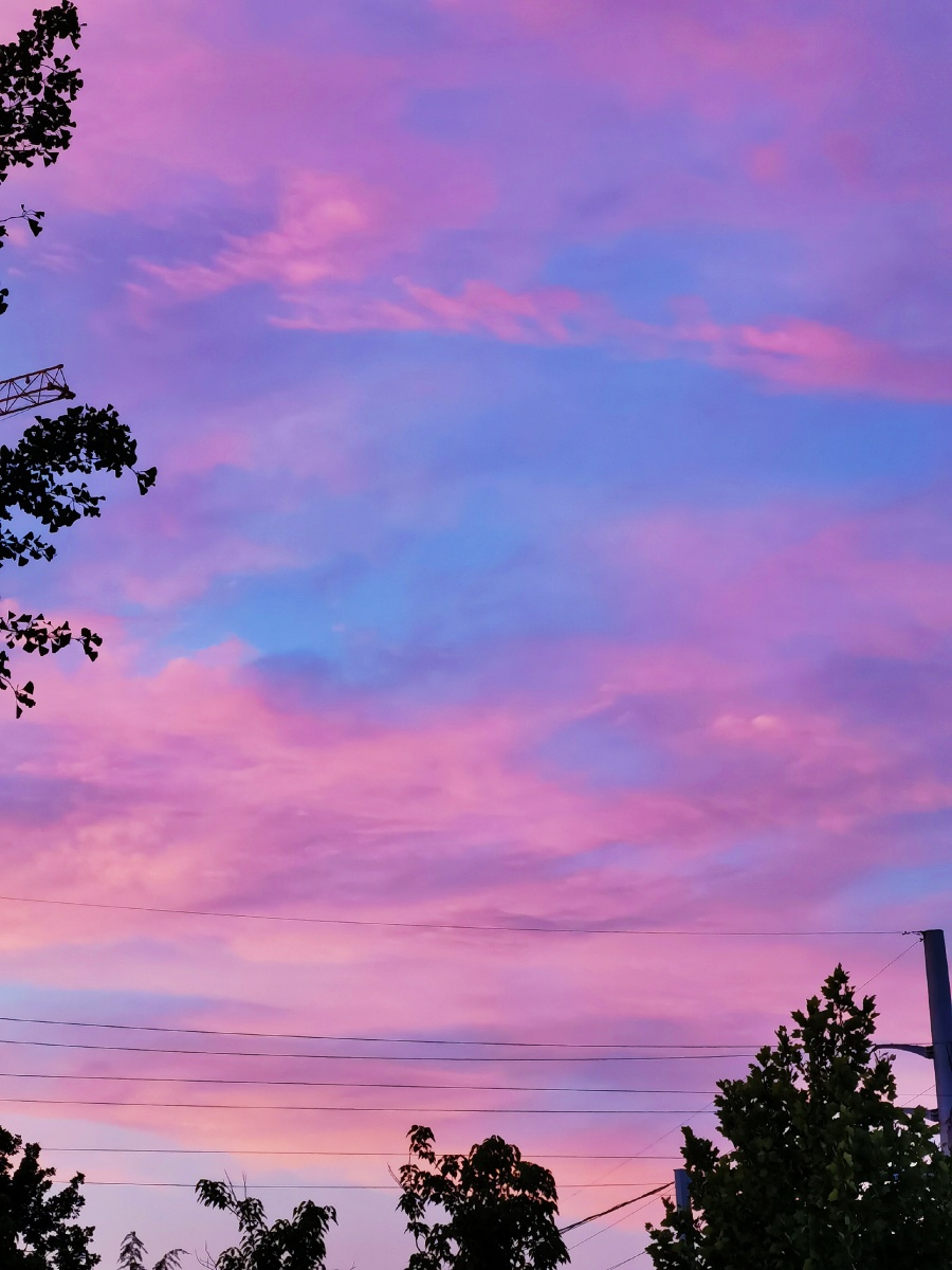 粉色的云