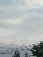 4436808