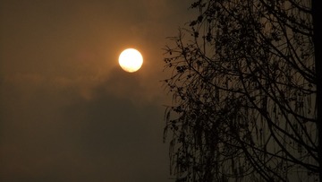 D825360F-0052-46DE-9E4B-5B6B1E2AF1CB/L0/001