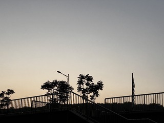 492FAF6D-5300-4D37-AEE5-FD4D2443A694/L0/001