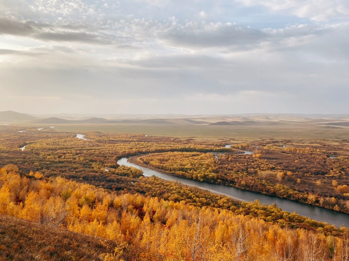 秋季的额尔古纳湿地