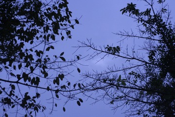 B7DC2EDD-0813-4AB9-928C-8267F493593B/L0/001