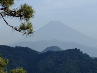 F85D7F42-0EF4-469B-9B89-C201123F3136/L0/001