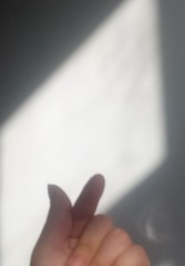 47826