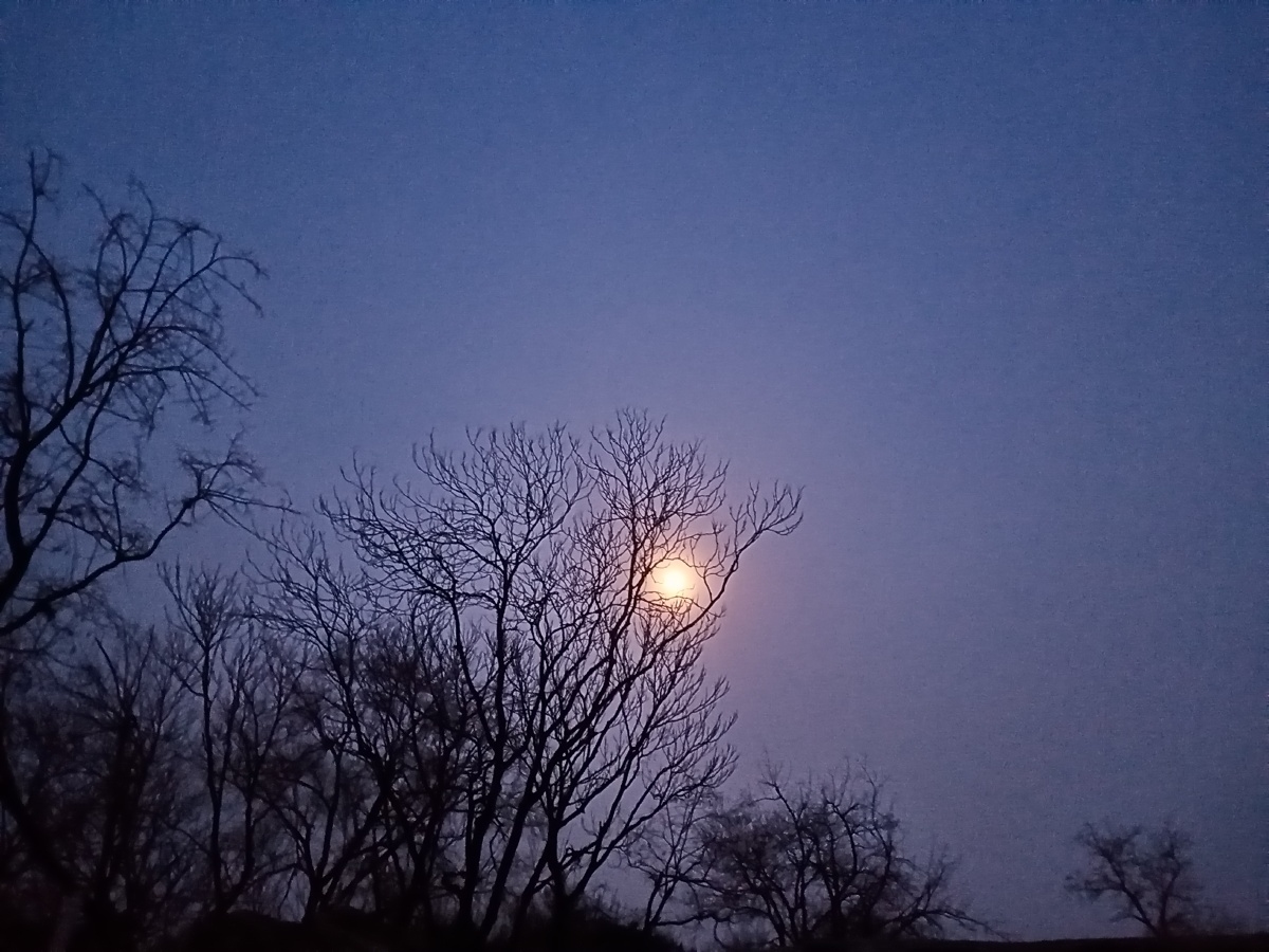 明天就是元宵节了你看今天的月亮圆不圆?