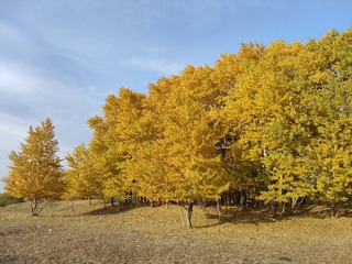 1000002588