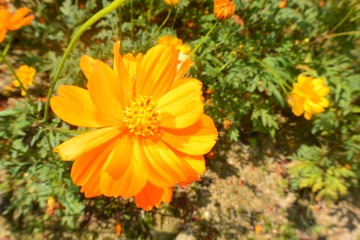 F0D55AC1-3B3D-42F7-8059-DE01324E13A3/L0/001