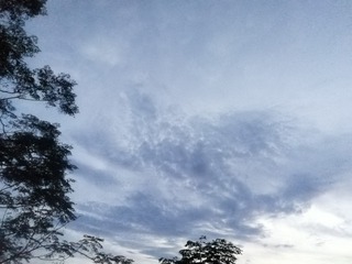 993849