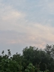 1676981