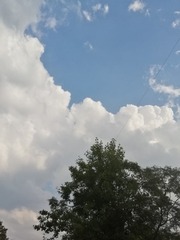 1677132
