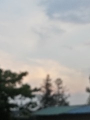 1676982