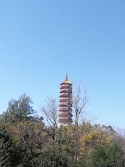 1597425