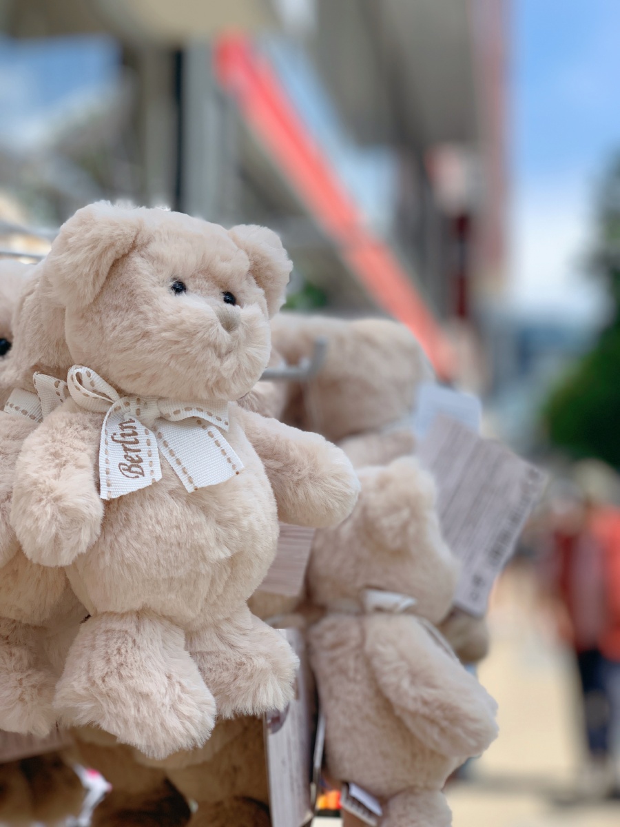 春日暖阳里的柏林熊