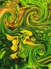D34B1152-469C-4E79-8AF6-6546FAF9D34C/L0/001