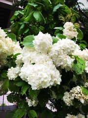 E314FD9B-2F23-4963-B591-B2AB0B7F9510/L0/001