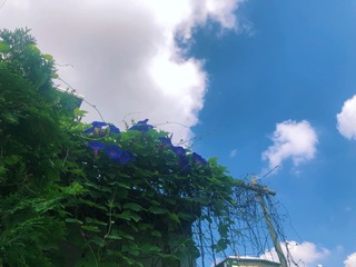 43A3F294-745F-40ED-9760-EA2DACC91587/L0/001