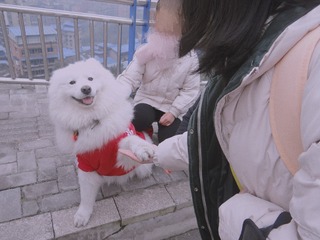 1790223