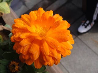 243963