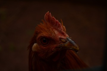 10427