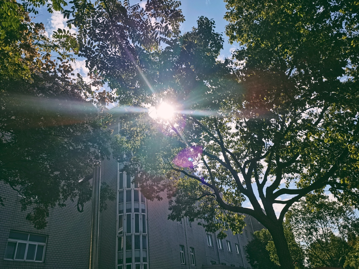 上海校园的阳光