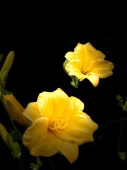 39EB289D-77BC-4FCB-B348-E63314D31638/L0/001