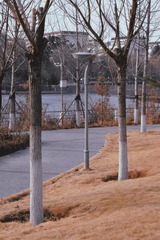 1EF53F16-E449-4C30-A8B0-DC1365D10554/L0/001