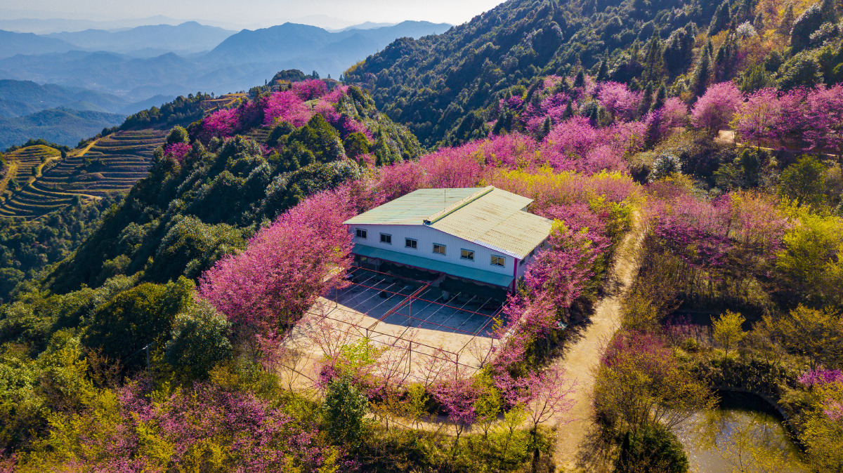 广东梅州明山嶂